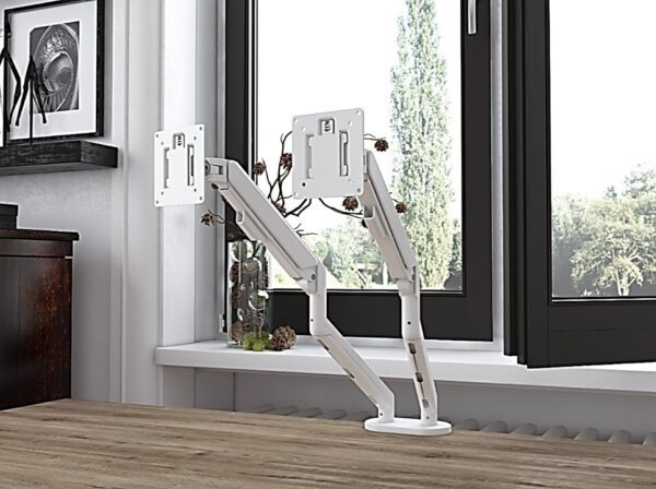 TSR DarwinDesk - Image 21