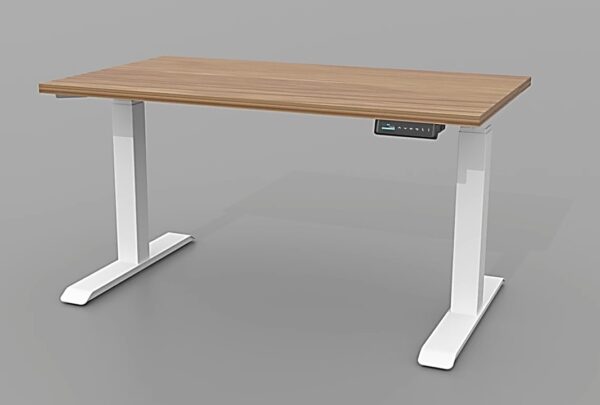 TSR DarwinDesk