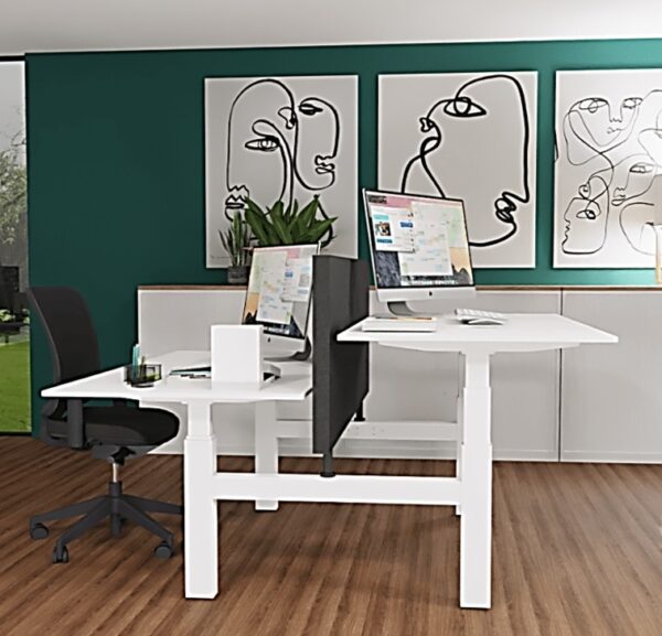 TSR DarwinDesk - Image 16