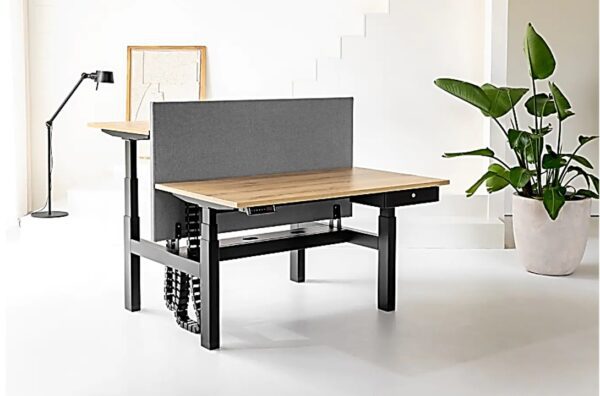 TSR DarwinDesk - Image 18