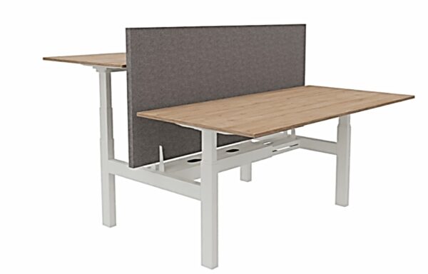 TSR DarwinDesk - Image 19