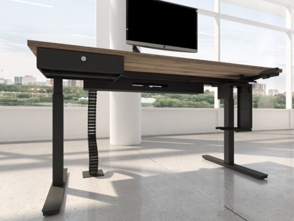 TSR DarwinDesk - Image 15