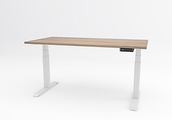TSR DarwinDesk - Image 4