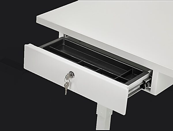 TSR DarwinDesk - Image 24